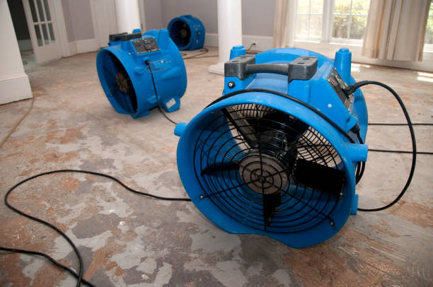Best Water damage restoration company  in Okemos, MI