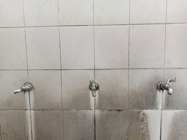 Best Water damage contractors near me  in Okemos, MI