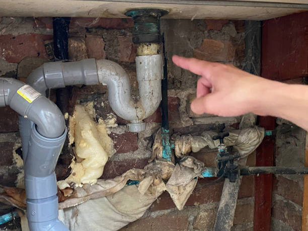 Best Flood damage cleanup  in Okemos, MI
